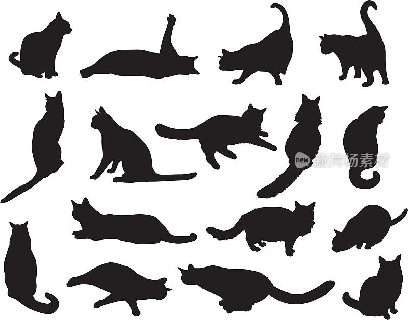 Sixteen cat Silhouettes